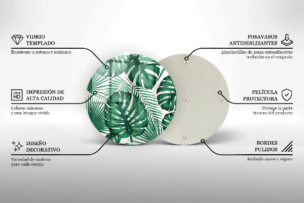 Protection plaque induction Feuilles de monstre