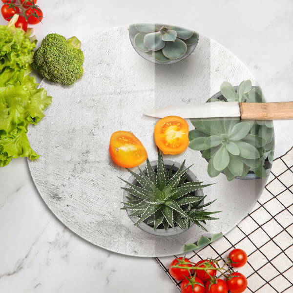 Protection plaque induction Plantes succulentes sur béton