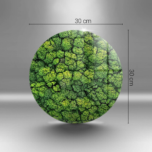 Protection plaque induction Plante de mousse naturelle