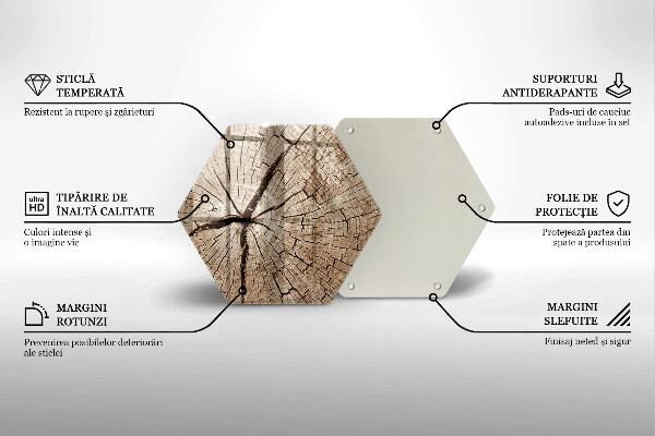 Cache plaque de cuisson Coupe transversale d'un arbre