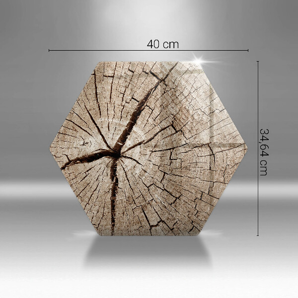 Cache plaque de cuisson Coupe transversale d'un arbre