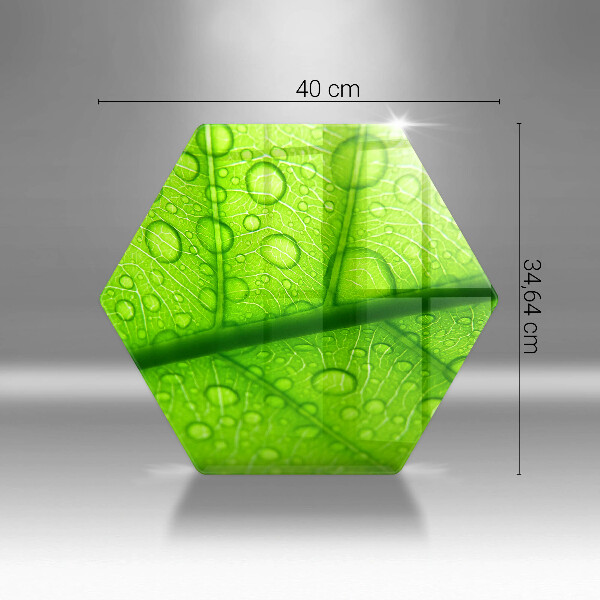 Protège plaque de cuisson Gros plan d'une feuille