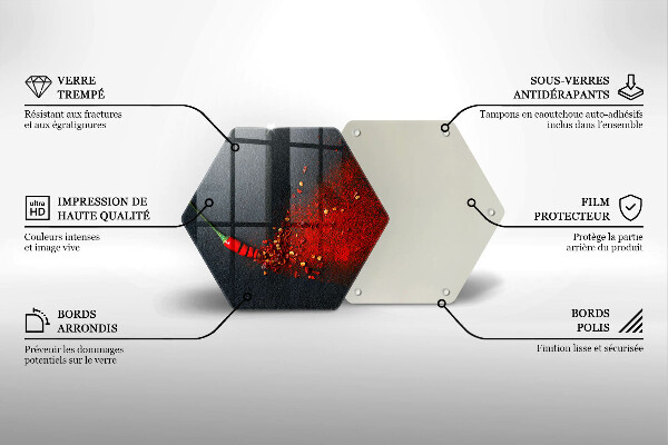 Protection plaque induction Piment