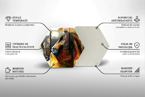 Protection plaque induction Animaux chevaux