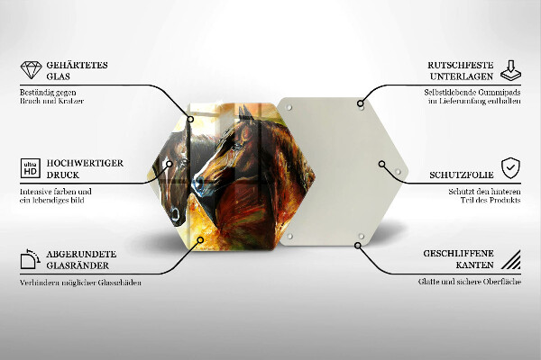 Protection plaque induction Animaux chevaux