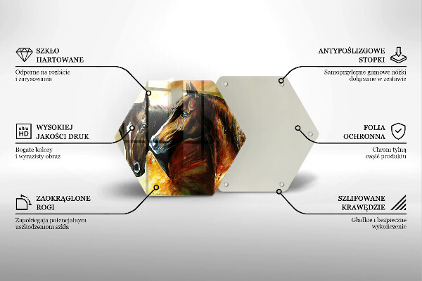 Protection plaque induction Animaux chevaux