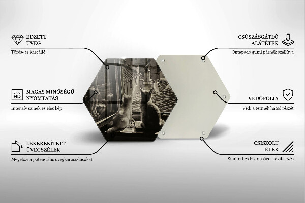 Cache plaque de cuisson Ville et fenêtre des chats