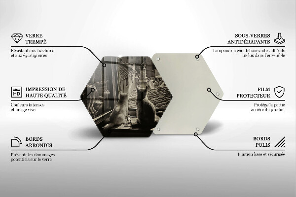 Cache plaque de cuisson Ville et fenêtre des chats