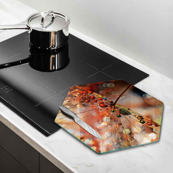 Cache plaque de cuisson Pissenlit mouillé