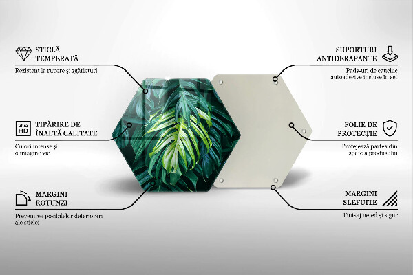 Cache plaque de cuisson Feuilles de monstera sauvage