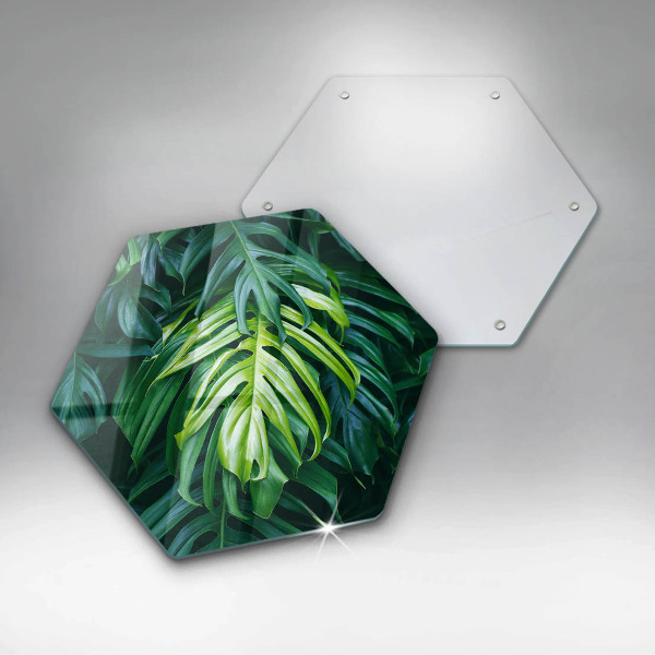 Cache plaque de cuisson Feuilles de monstera sauvage