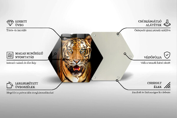 Cache plaque de cuisson Tigre animal sauvage