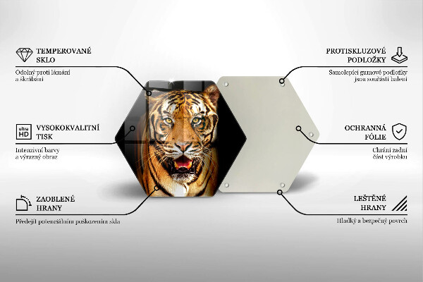 Cache plaque de cuisson Tigre animal sauvage