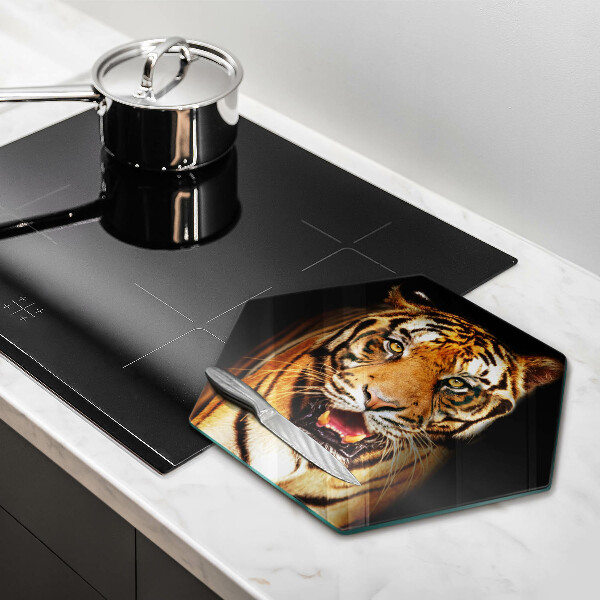 Cache plaque de cuisson Tigre animal sauvage