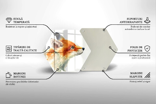 Protection plaque induction Renard peint