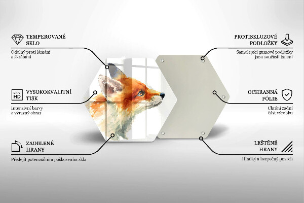 Protection plaque induction Renard peint