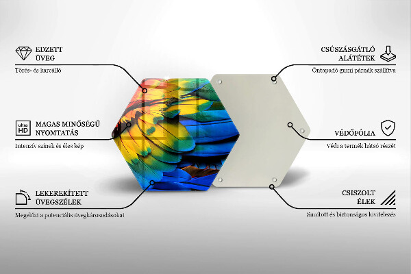 Protection plaque induction Plumes de perroquet colorées