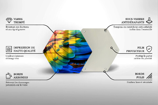 Protection plaque induction Plumes de perroquet colorées