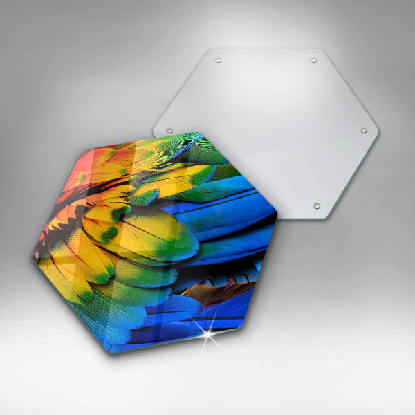 Protection plaque induction Plumes de perroquet colorées