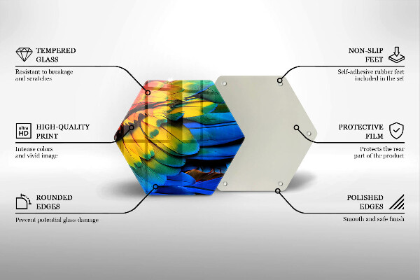 Protection plaque induction Plumes de perroquet colorées