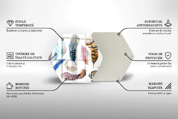 Protection plaque induction Plumes d'oiseaux colorées