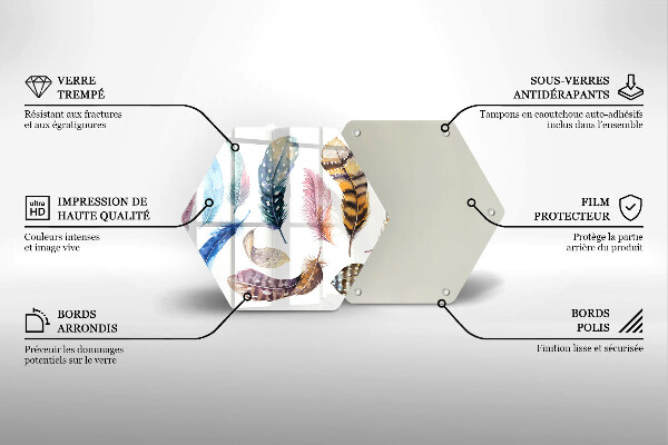 Protection plaque induction Plumes d'oiseaux colorées