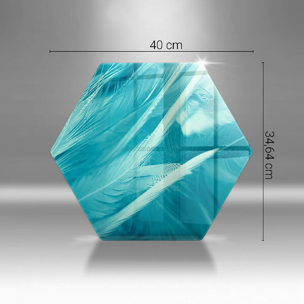 Protection plaque induction Plumes délicates