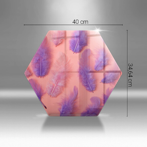 Protection plaque induction Plumes moelleuses