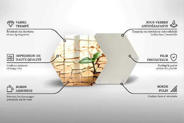 Cache plaque de cuisson Une plante solitaire