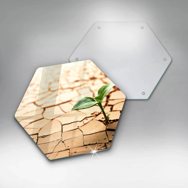 Cache plaque de cuisson Une plante solitaire