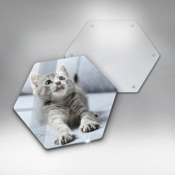 Cache plaque de cuisson Petit chaton mignon