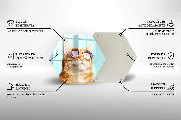 Protection plaque induction Chat rouge avec des lunettes