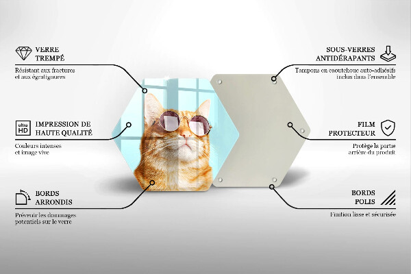 Protection plaque induction Chat rouge avec des lunettes