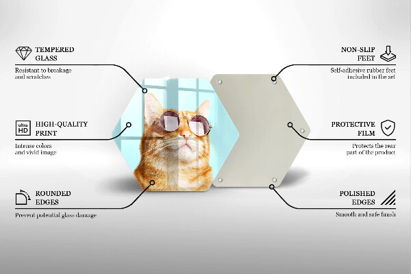 Protection plaque induction Chat rouge avec des lunettes