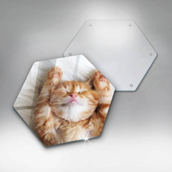 Cache plaque de cuisson Petit chaton mignon