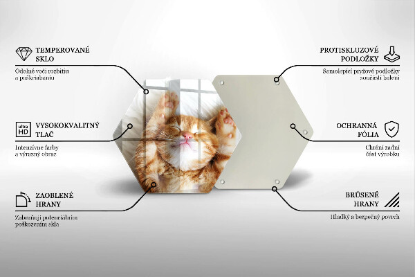 Cache plaque de cuisson Petit chaton mignon