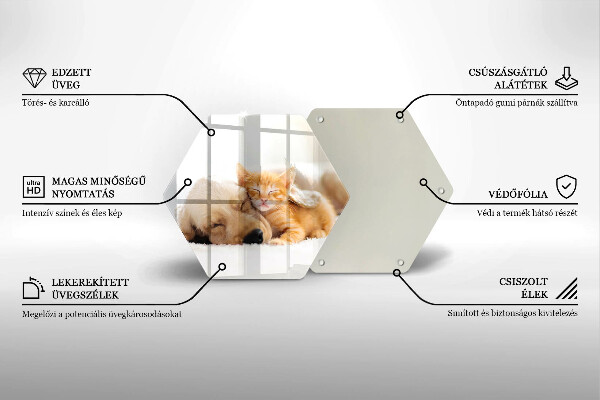 Cache plaque de cuisson Animaux chien et chat