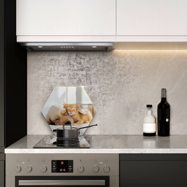 Cache plaque de cuisson Animaux chien et chat