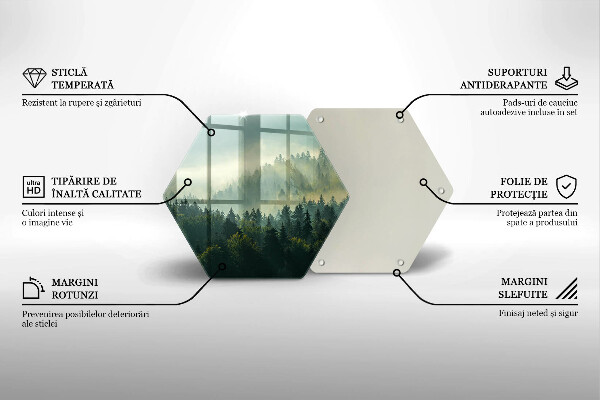 Cache plaque de cuisson Vue paysage de la forêt