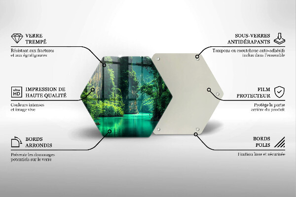 Protection plaque induction Paysage lagon