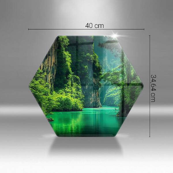 Protection plaque induction Paysage lagon