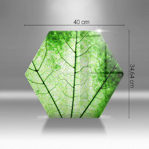 Cache plaque de cuisson Feuille de veine décorative