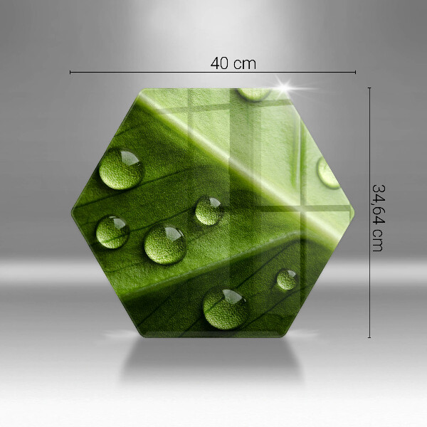 Cache plaque de cuisson Nature rosée et feuille