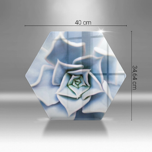 Cache plaque de cuisson Plante à fleurs