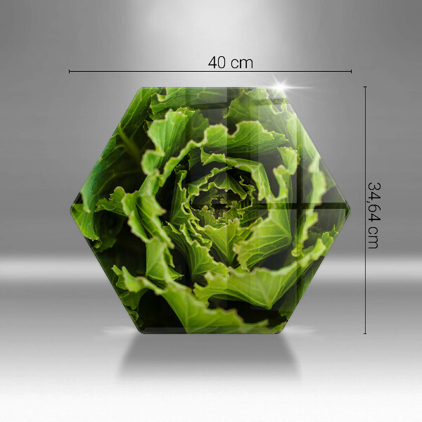 Cache plaque de cuisson Manger des feuilles de laitue