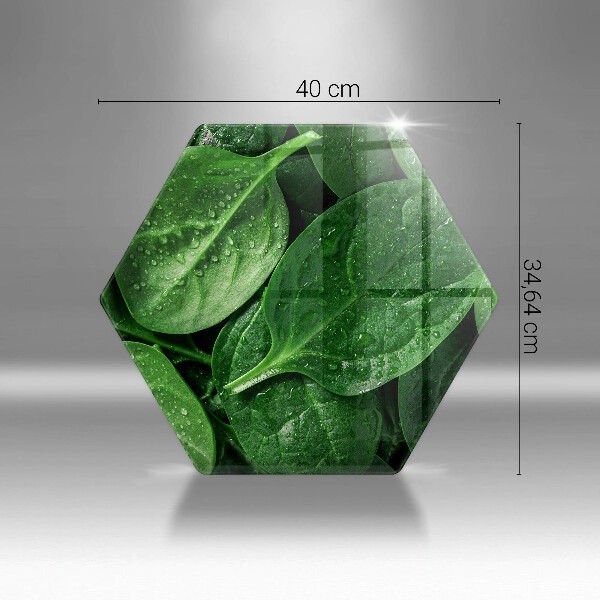 Cache plaque de cuisson Feuilles de basilic