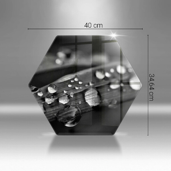 Cache plaque de cuisson La rosée tombe sur les feuilles