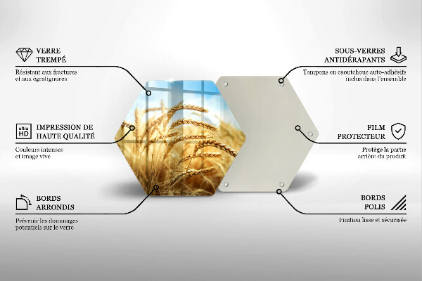 Protection plaque induction Épis de céréales dans le champ