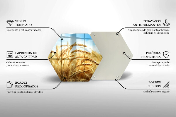 Protection plaque induction Épis de céréales dans le champ