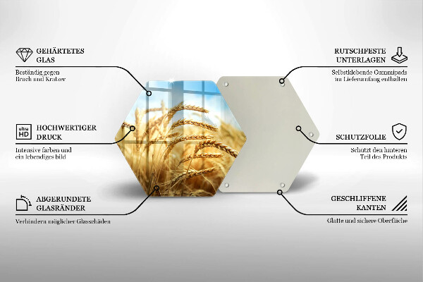 Protection plaque induction Épis de céréales dans le champ